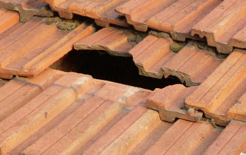 roof repair Holefield, Scottish Borders